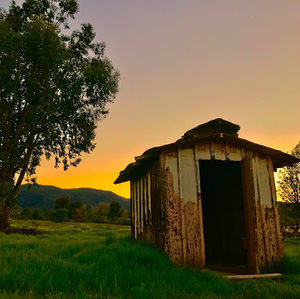 Meet your Posher, Walter